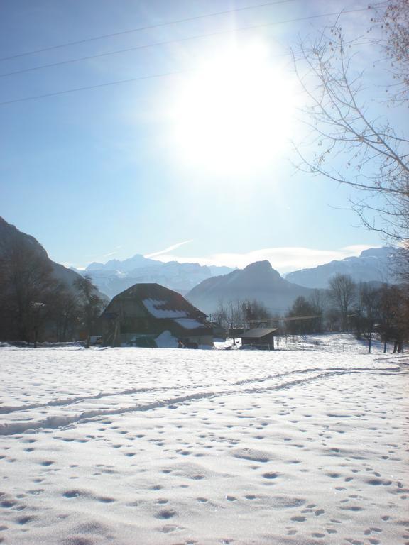 Hotel Les Paddocks Du Mont Blanc Mieussy Exterior foto